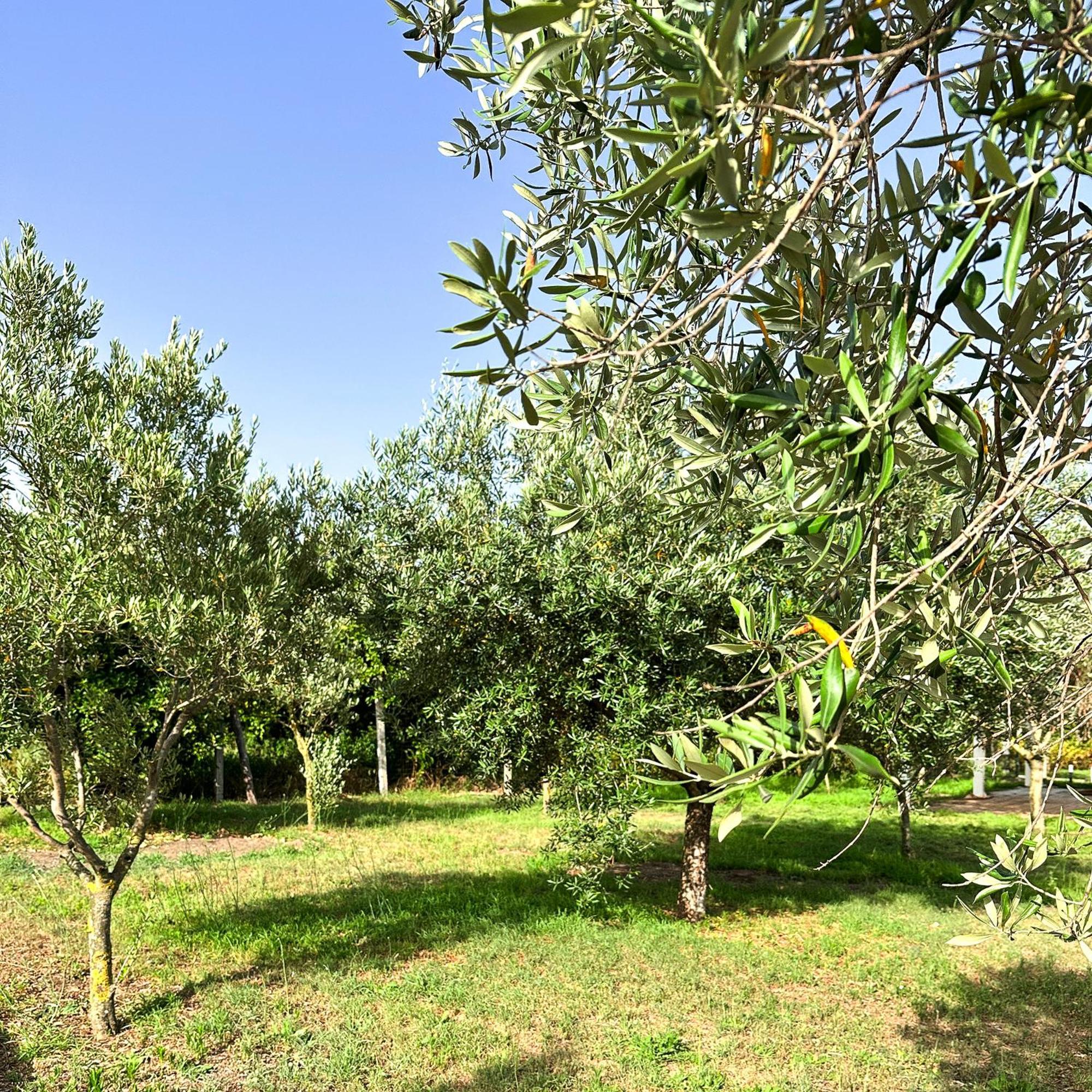 Tenuta Nunziata - Food, Event, Biofarm Torre Annunziata Exterior foto